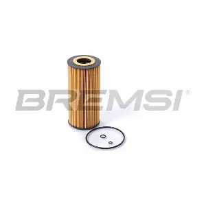 FL1396 BREMSI