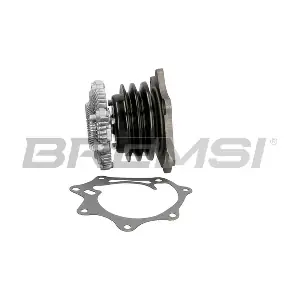WP0318 BREMSI