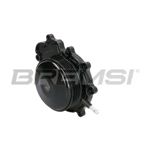 WP0349 BREMSI