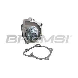 WP0278 BREMSI