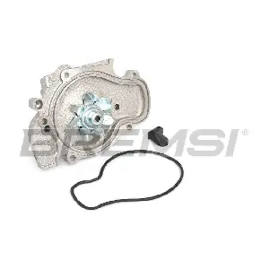 WP0081 BREMSI