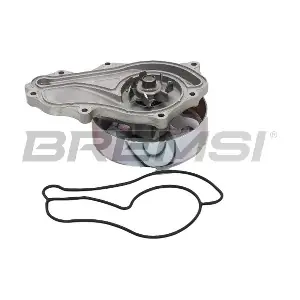 WP0470 BREMSI