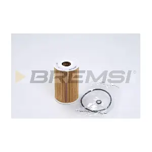 FL0255 BREMSI