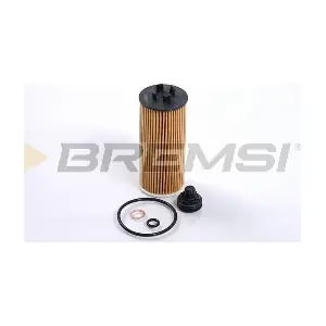 FL0266 BREMSI
