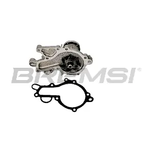WP0016 BREMSI