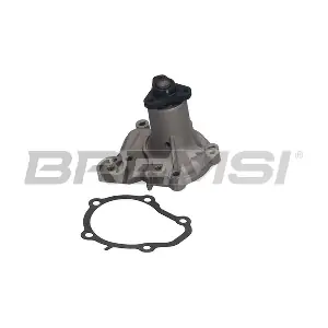 WP0545 BREMSI