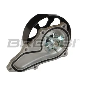 WP0481 BREMSI