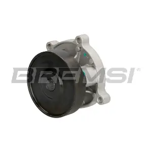 BREMSI WP0397