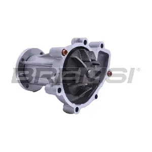 BREMSI WP0622