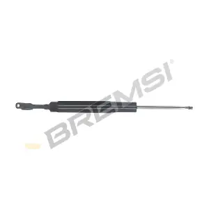 SA0029 BREMSI