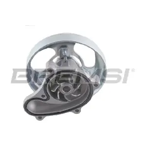 WP0489 BREMSI