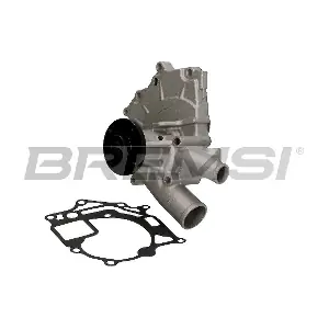WP0011 BREMSI