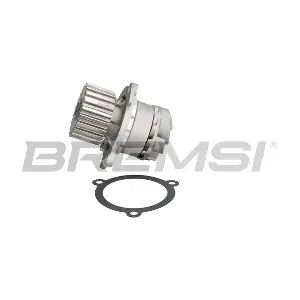 WP0170 BREMSI