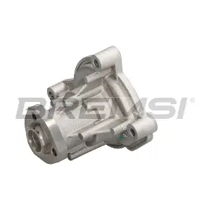 WP0236 BREMSI