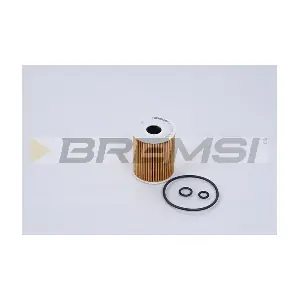 FL0268 BREMSI