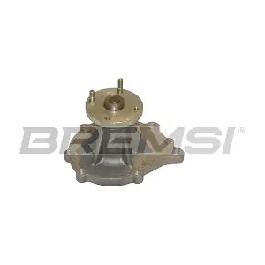 WP0047 BREMSI