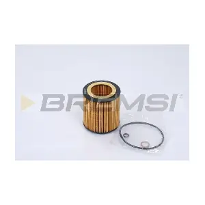 FL1281 BREMSI