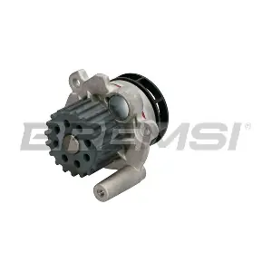 WP0255 BREMSI