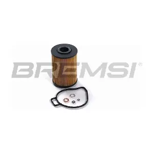 FL1716 BREMSI