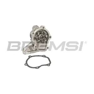 WP0308 BREMSI