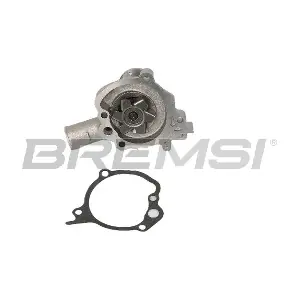WP0035 BREMSI