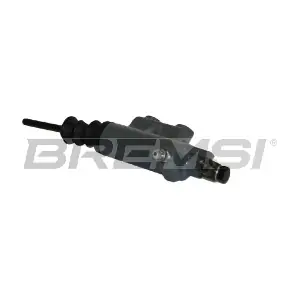 SC0029 BREMSI