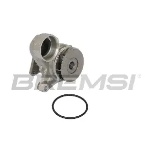 WP0605 BREMSI