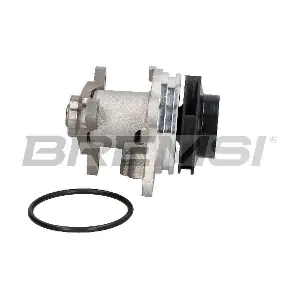 WP0042 BREMSI