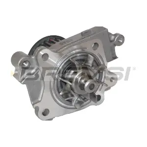 WP0306 BREMSI