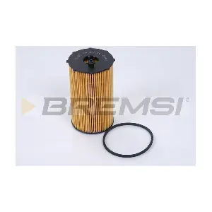 FL0685 BREMSI