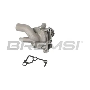 BREMSI WP0601