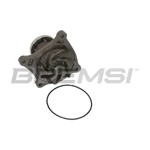WP0495 BREMSI