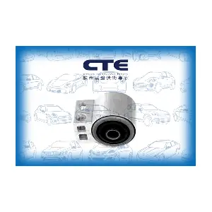 CBH15011 CTE