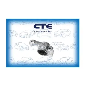 CBH22016 CTE