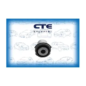 CBH31008 CTE