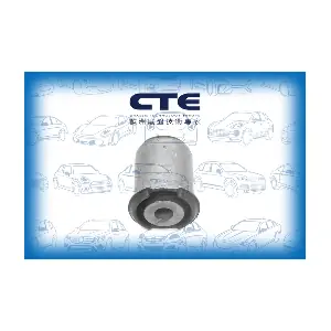 CBH31009 CTE