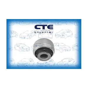 CBH10009 CTE