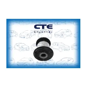 CBH20012 CTE