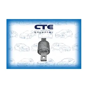 CBH05013 CTE