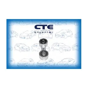 CSL09005 CTE