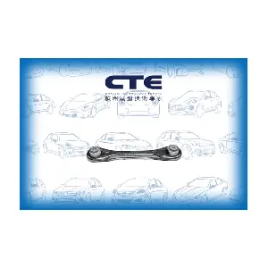 CTE CS-341
