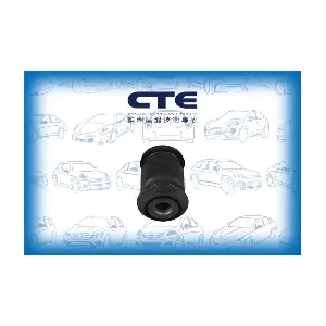 CTE CBH22021