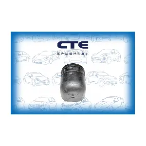 CBH06012 CTE