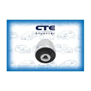 CBH21038 CTE
