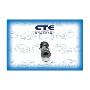 CSL20007 CTE