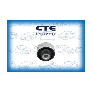 CBH22022 CTE