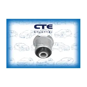 CBH31016 CTE