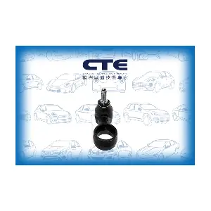 CSL31006 CTE