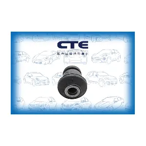 CBH03063 CTE