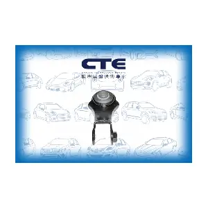 CSL01008 CTE